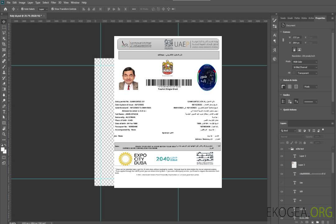 Modèle de visa électronique des Émirats arabes unis aux formats Word et PDF, version 2 template
